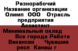 Разнорабочий › Название организации ­ Олимп, ООО › Отрасль предприятия ­ Ассистент › Минимальный оклад ­ 25 000 - Все города Работа » Вакансии   . Чувашия респ.,Канаш г.